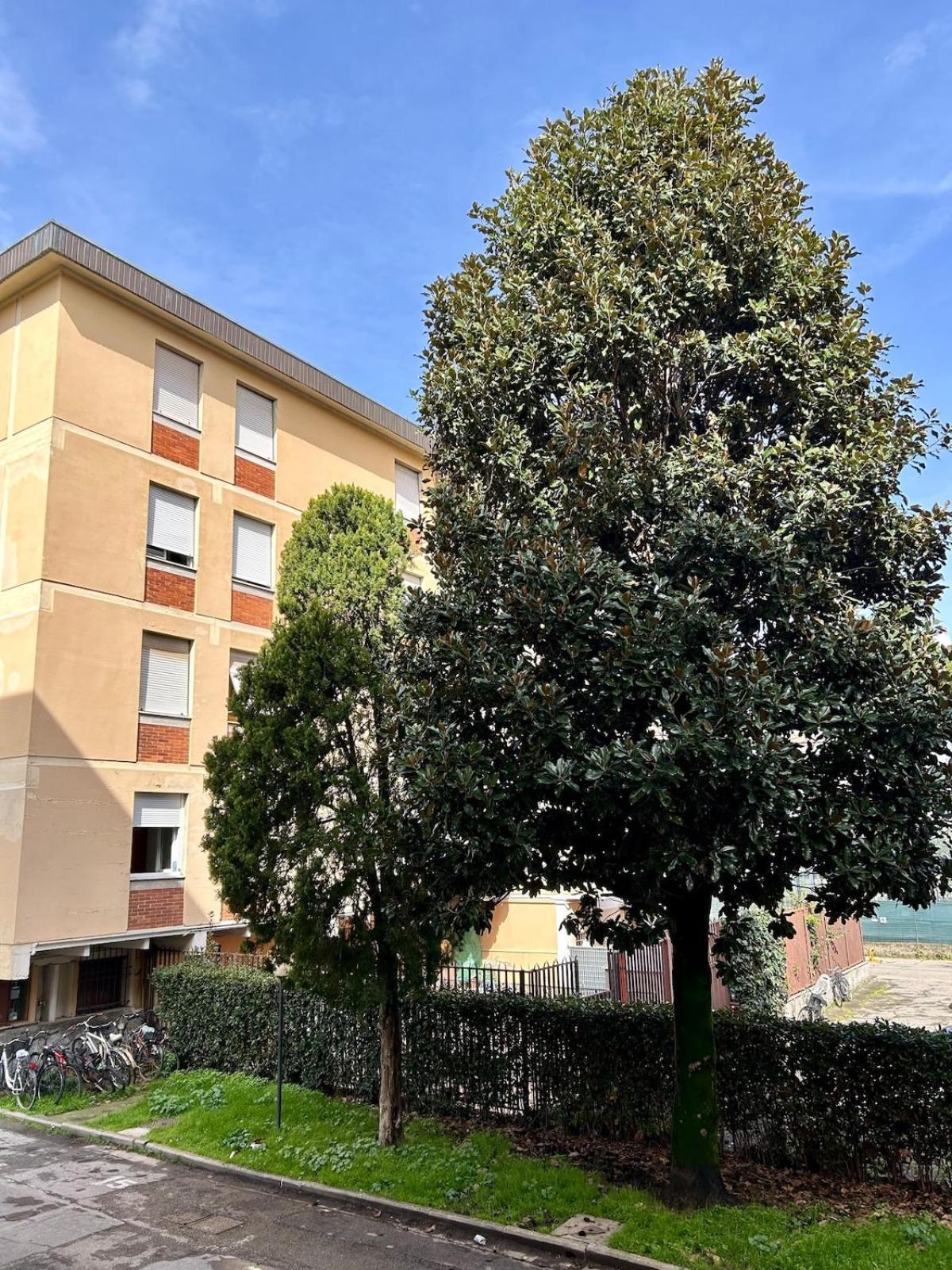Magnolia 84 Florencia
